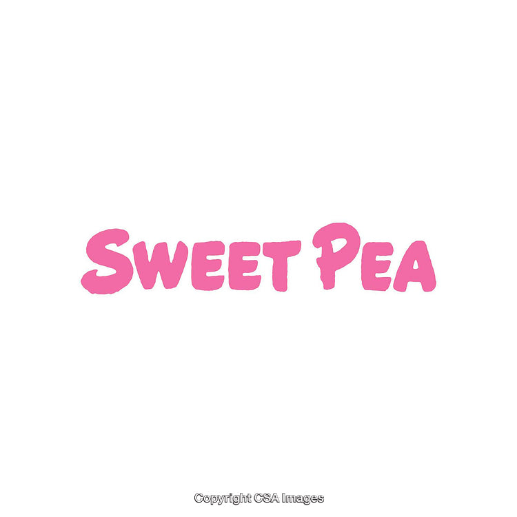 Pink Sweet Pea Word Design on a White Background