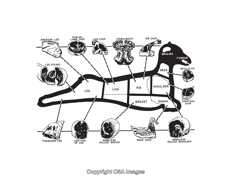 Detailed Black and White Diagram Illustrating Cuts of Lamb Meat