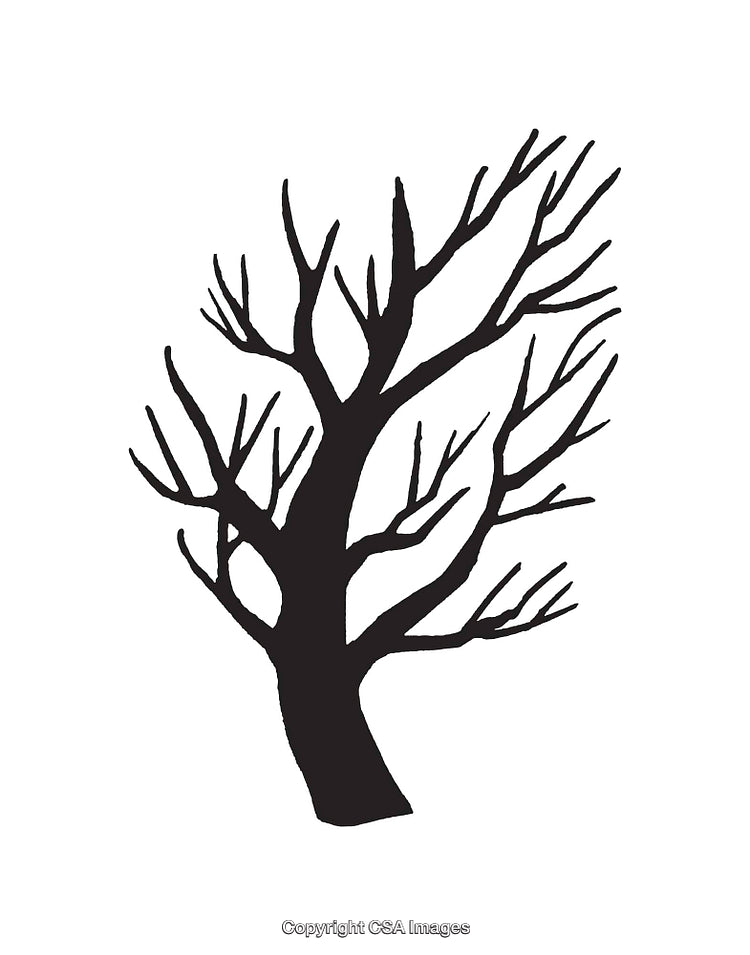 Silhouette of a Bare Tree in Minimalist Black and White Art