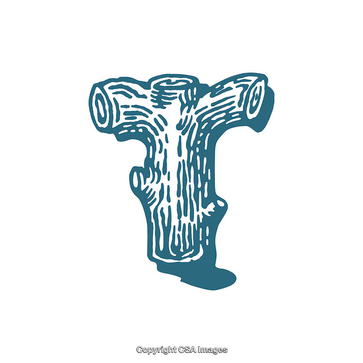 Rustic Tree-Styled Letter T in Woodcut Style Illustration