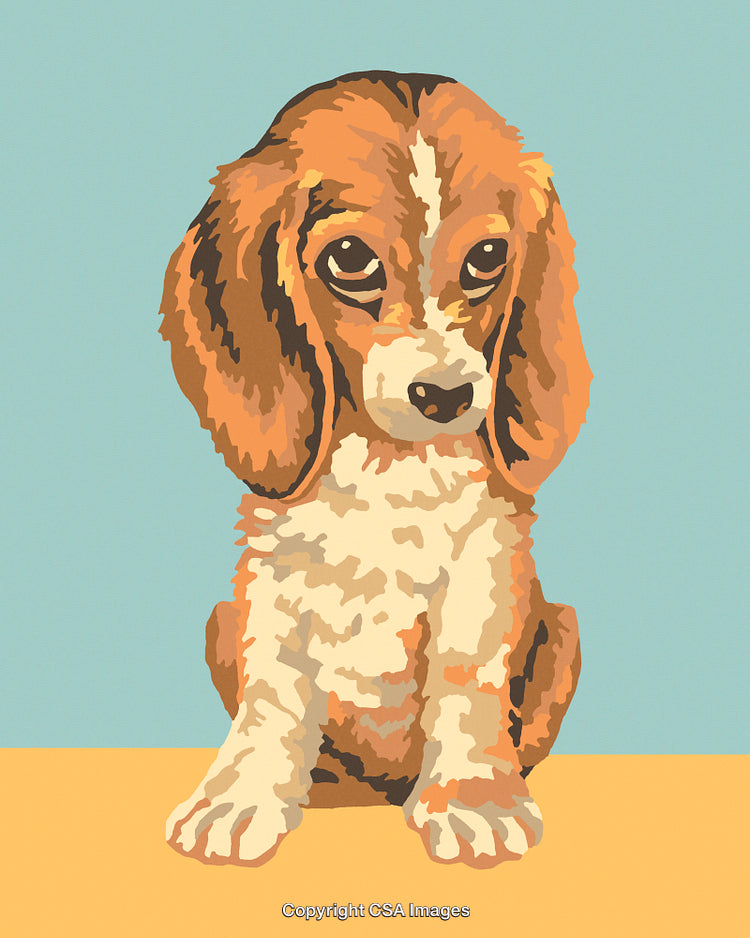Illustration of a Cute Beagle Puppy in Paint by Numbers Style