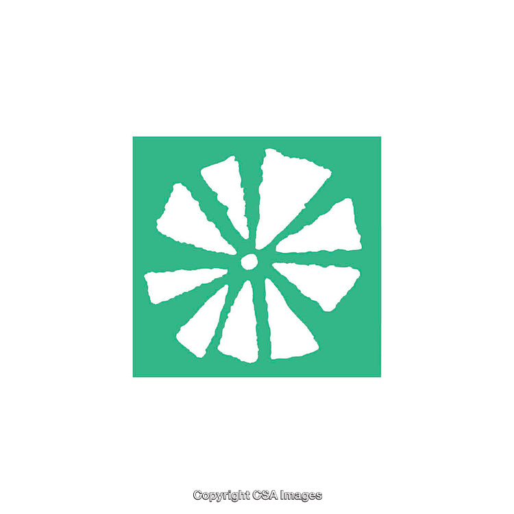 Abstract Green Circular Shape with Radial White Patterns