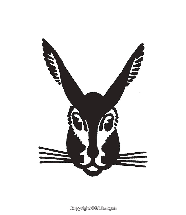 Stylized Black and White Illustration of a Hare's Face