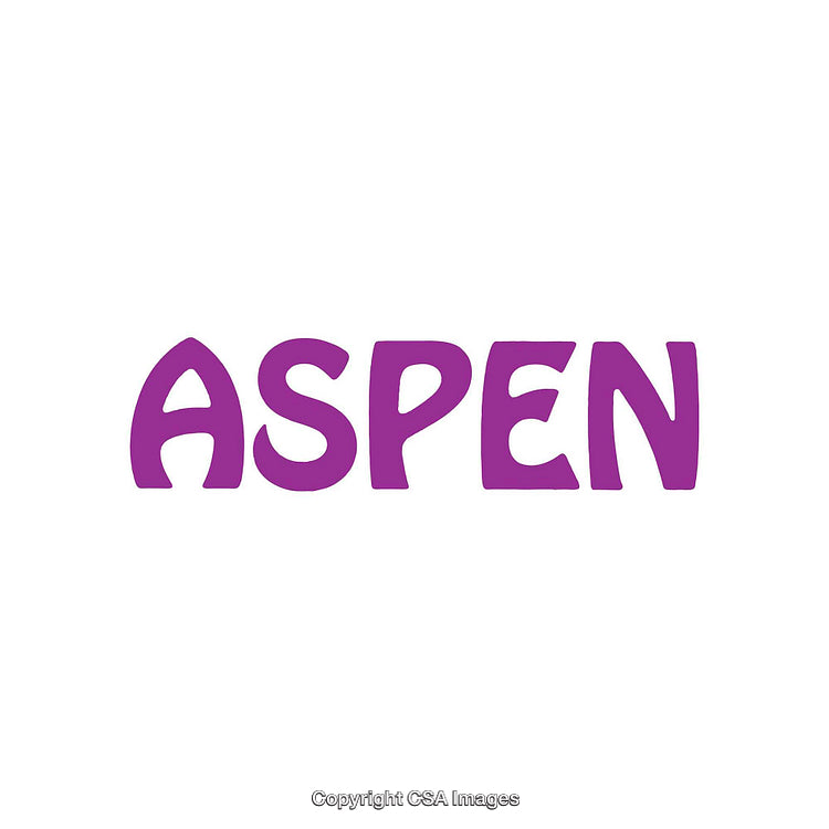 Purple Aspen Lettering Design Centered on White Background