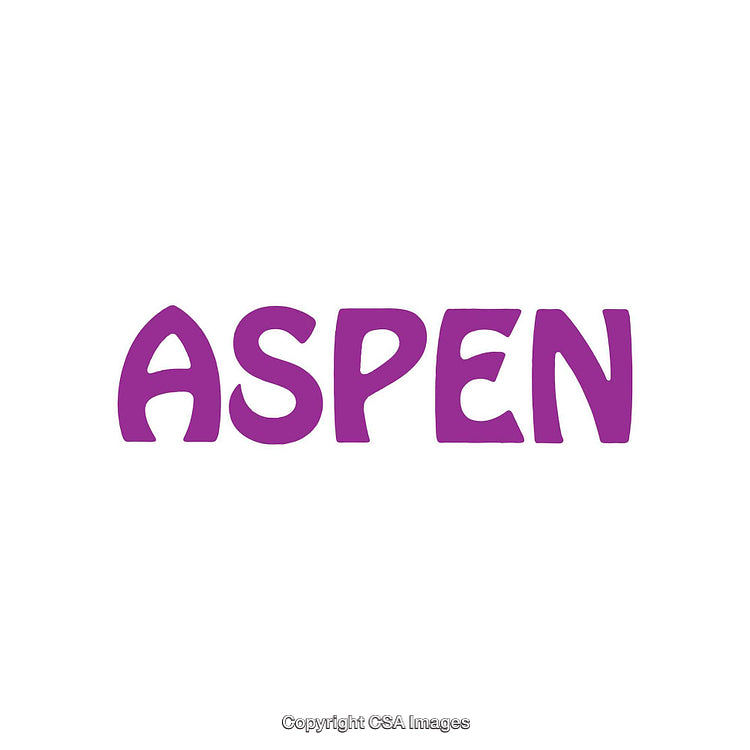 Purple Aspen Lettering Design Centered on White Background