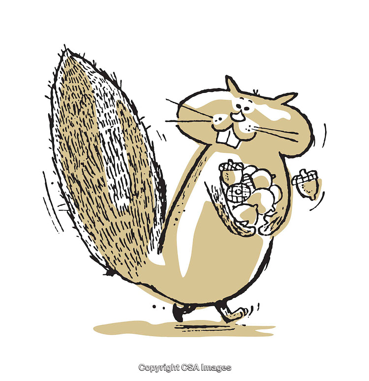 Cute Squirrel Cartoon Holding Acorns in Whimsical Hand-Drawn Illustration