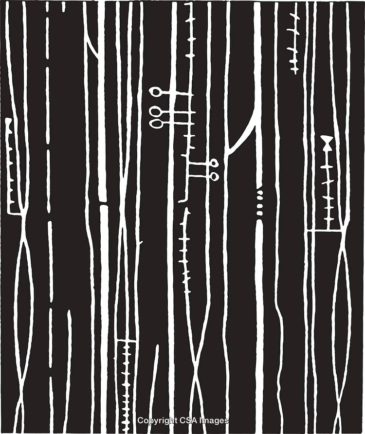 Abstract Black And White Vertical Line Pattern With Geometric Details