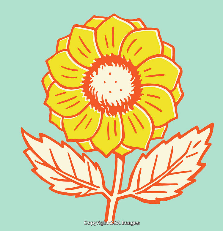 Colorful Line Art Illustration of a Vibrant Sunflower on a Light Blue Background