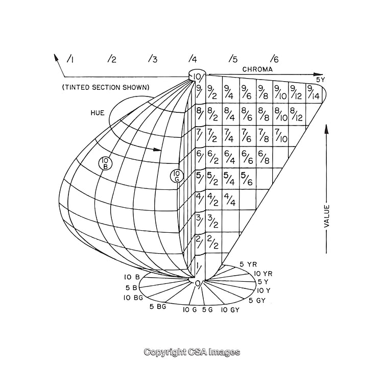 Detailed Black and White Diagram of Color System with Grid and Labels