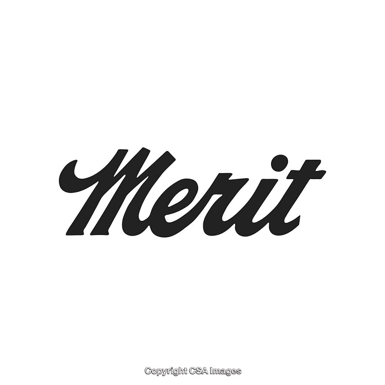 Elegant Typography Design Featuring the Word 'Merit' in Black Script