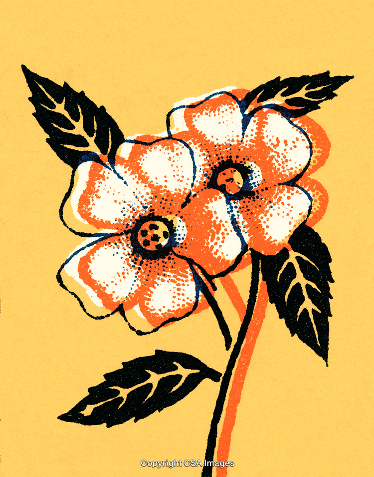 Retro Flower Illustration with Bold Colors and Graphic Design Elements