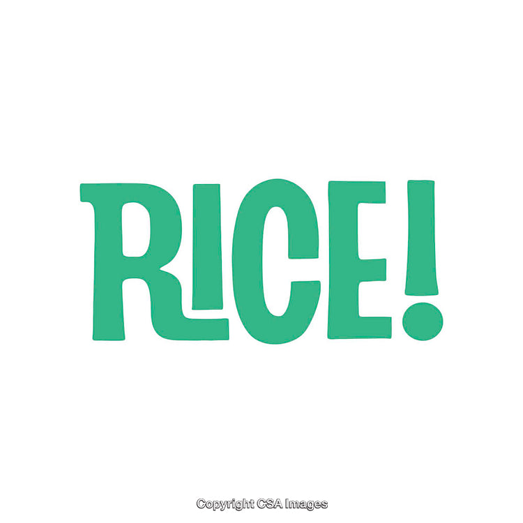 Bold Green Stylized Text Inscription the Word Rice Isolated on White Background