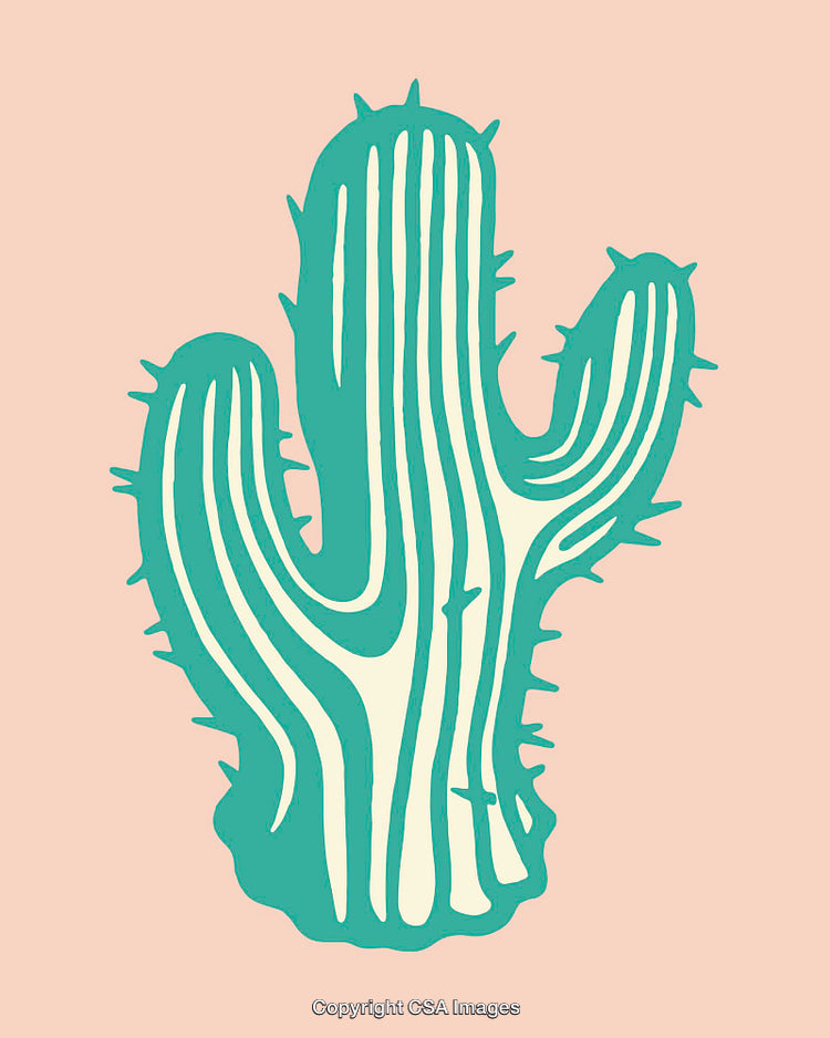 Stylized Cactus Illustration With Bold Lines and Retro Color Palette