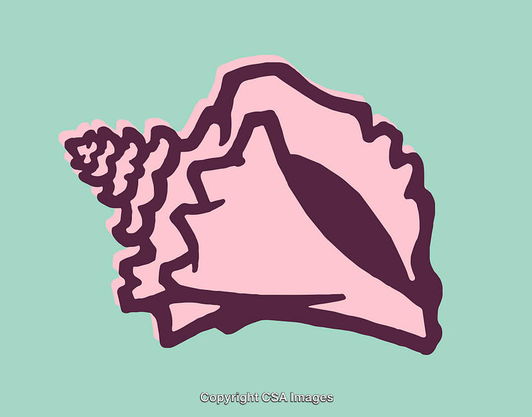Abstract Stylized Line Art of a Shell with Vibrant Colors