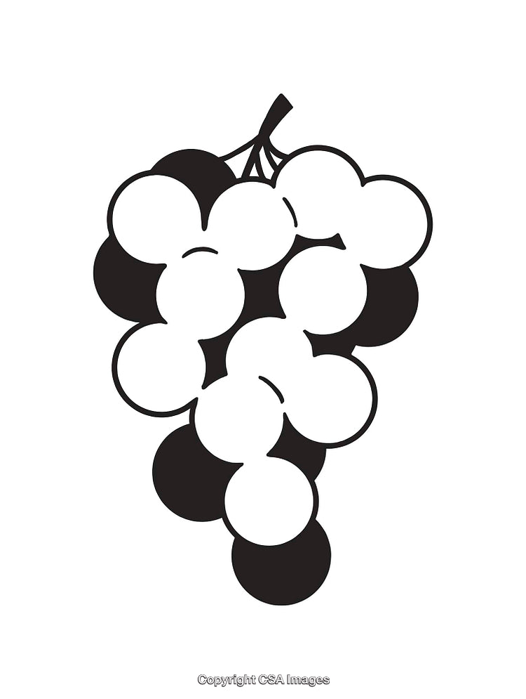 Black and White Illustration of a Grapes Bunch with Simple Line Art