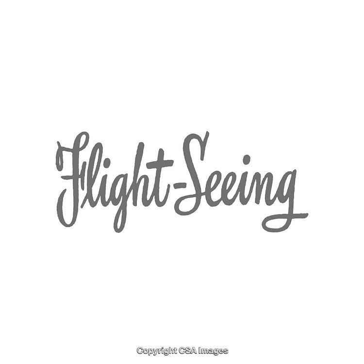 Stylish Handwritten Script Featuring the Words 'Flight-Seeing' in Gray Ink