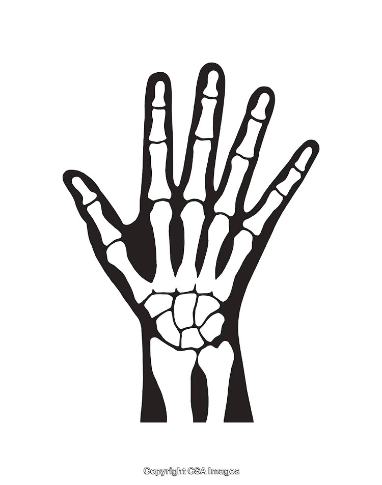 Black and White Line Art Illustration of a Hand Skeleton