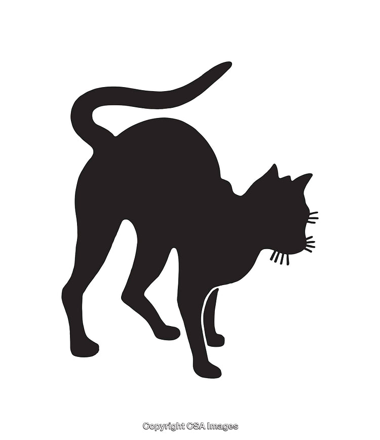 Black Silhouette of an Arched Cat on a White Background