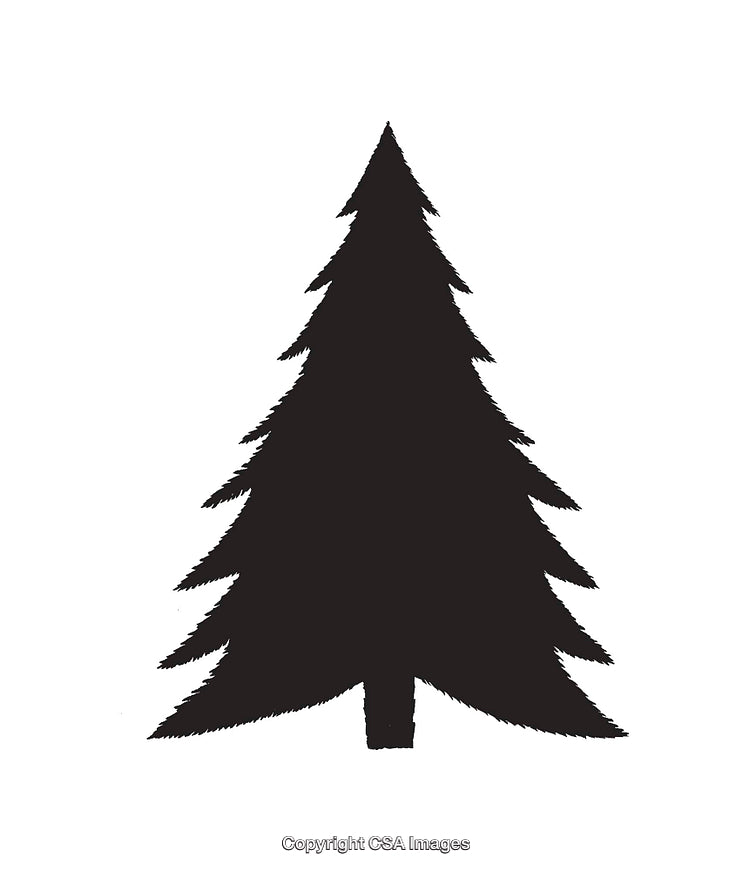 Black and White Silhouette of a Pine Tree Illustration