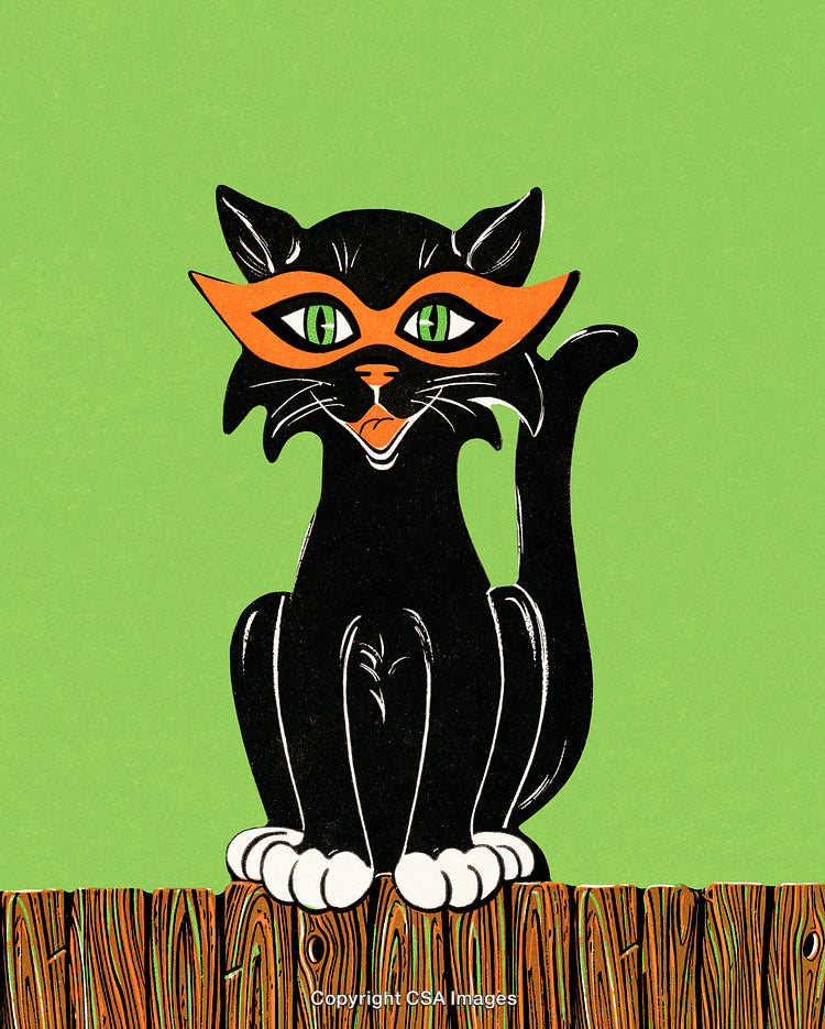 Black Cat With Orange Mask on Wooden Fence With Green Background