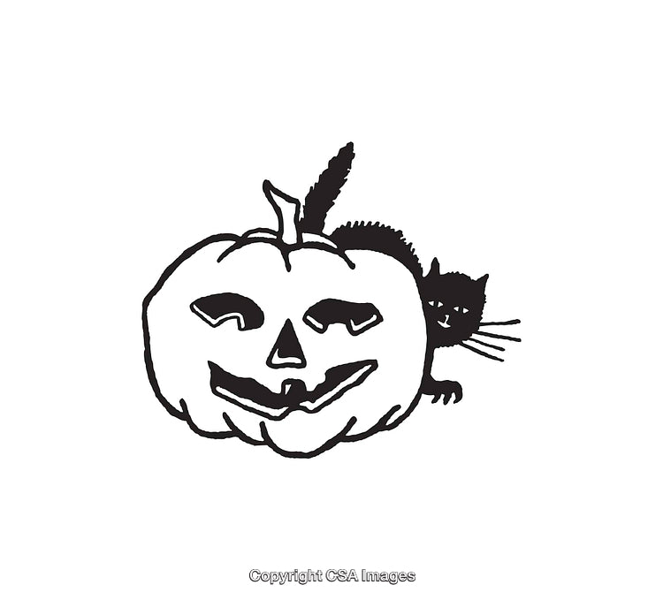 Black and White Illustration of Halloween Pumpkin with a Cat