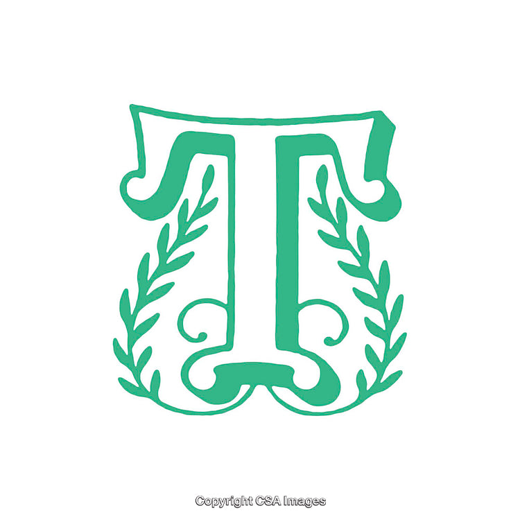 Intricate T Letterform with Elegant Decorative Elements and Floral Motifs