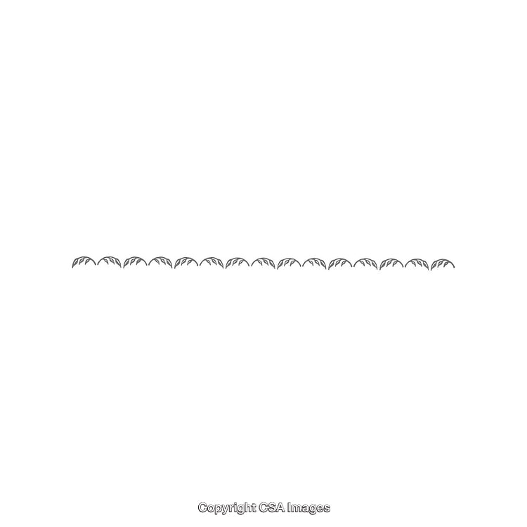 Minimalist Decorative Border With Symmetrical Leaf Patterns on White Background