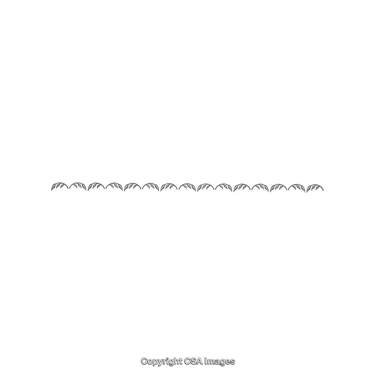 Minimalist Decorative Border With Symmetrical Leaf Patterns on White Background