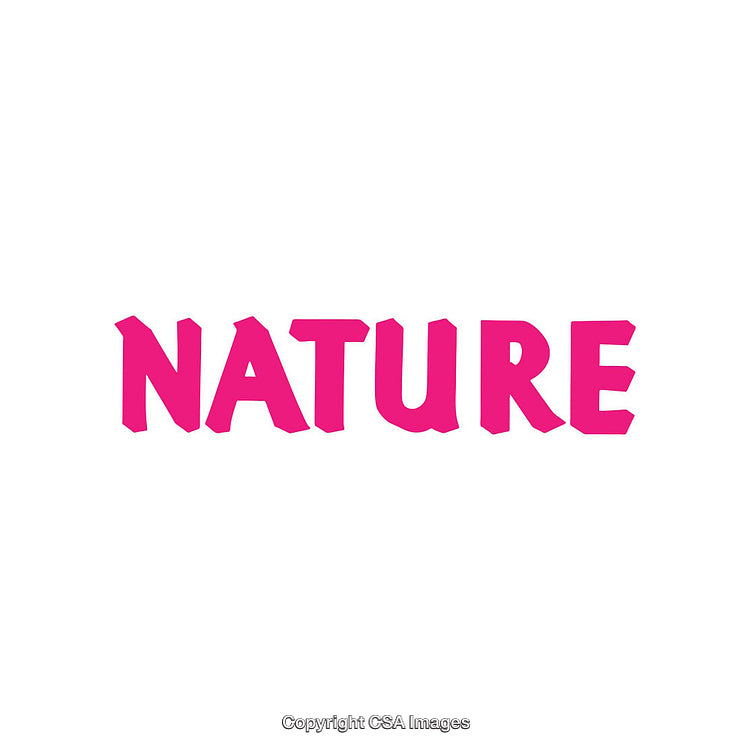 Bold Pink Typography Featuring the Word Nature on a Plain White Background