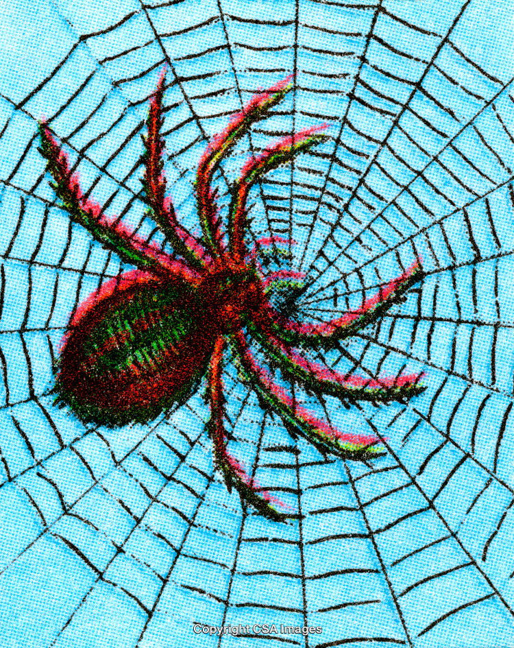 Colorful Illustration of a Spider on a Brightly Detailed Web