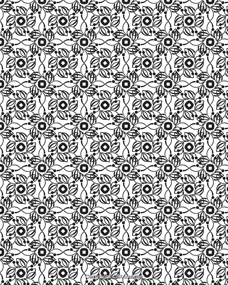 Black and White Ornament Pattern with Floral Geometric Design
