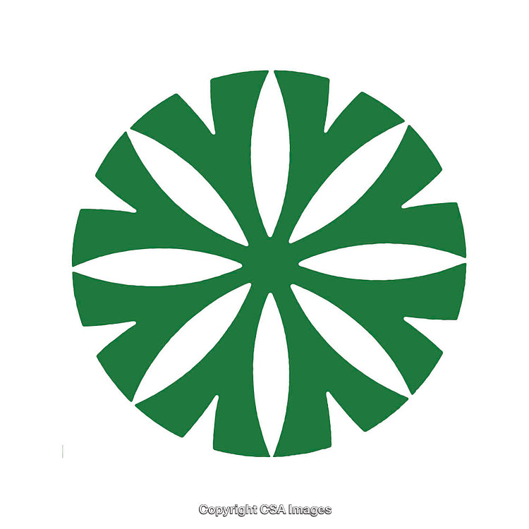 Abstract Green Floral Pattern Design on White Background