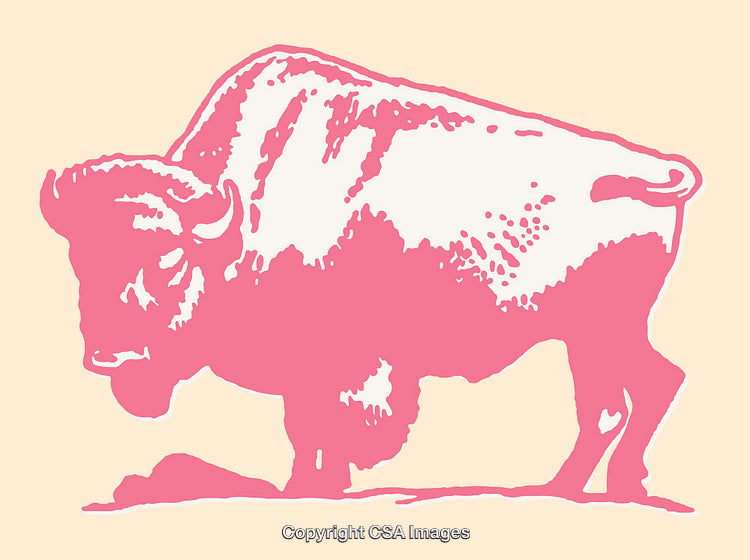 Pink and Beige Graphic of Buffalo Design in Vector Style