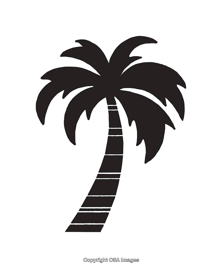 Black and White Palm Tree Illustration in Minimalist Design Style