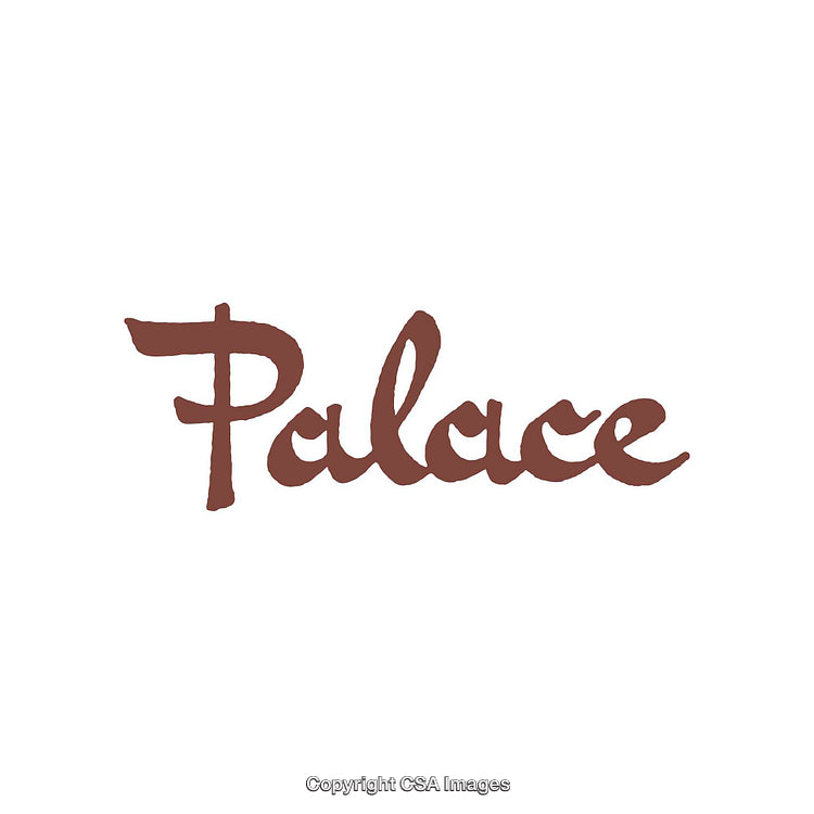 Elegant Handwritten Script Logo Featuring the Word 'Palace' in Brown Accent