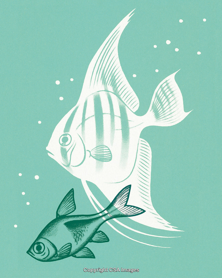 Artistic Illustration of Two Fish Against an Aquatic-Themed Background