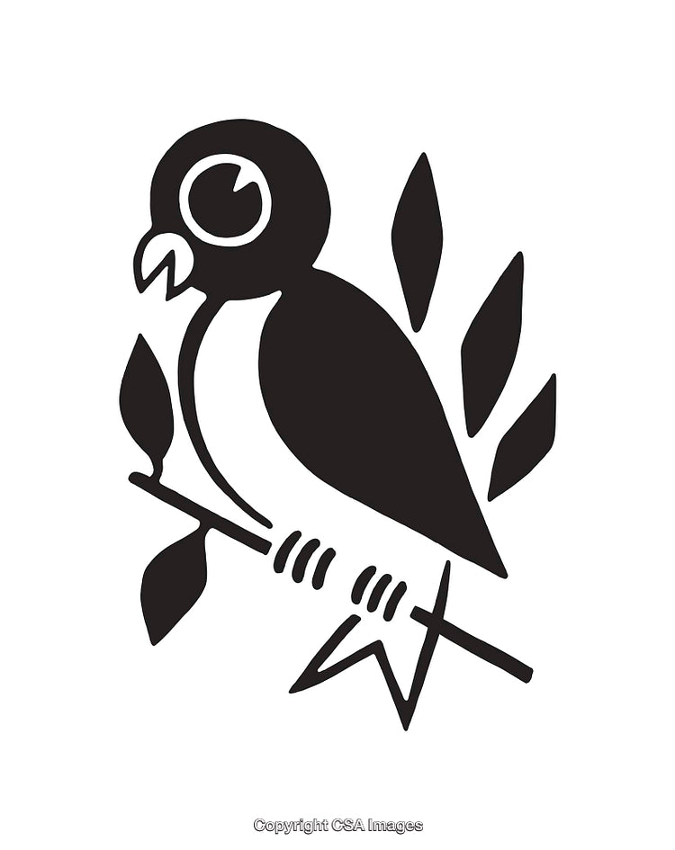 Monochrome Line Art Illustration of a Parrot On a Branch