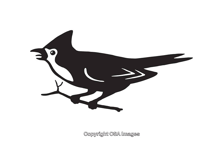 Black and White Line Art Illustration of a Bird Perched on a Branch