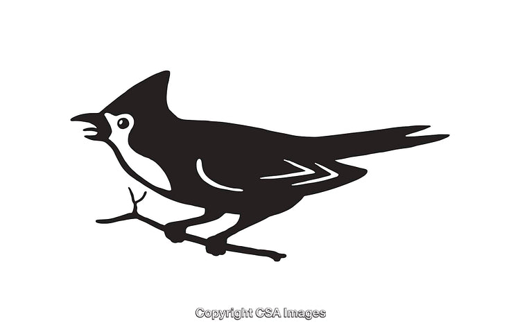 Black and White Line Art Illustration of a Bird Perched on a Branch
