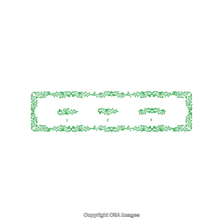 Elegant Holly-Themed Border Decoration with Intricate Festive Elements and Green Design