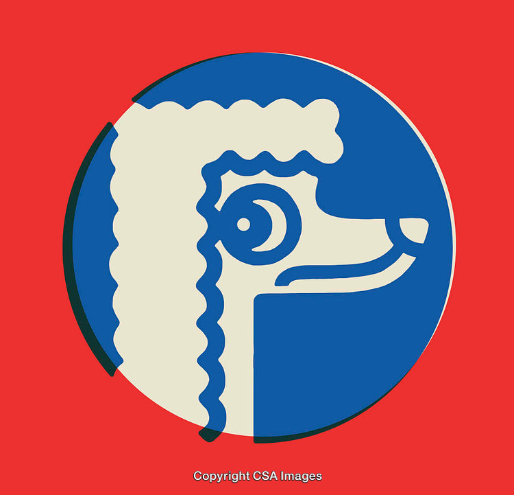 Colorful Graphic Illustration of a Dog in Bold Blue and Red Shapes