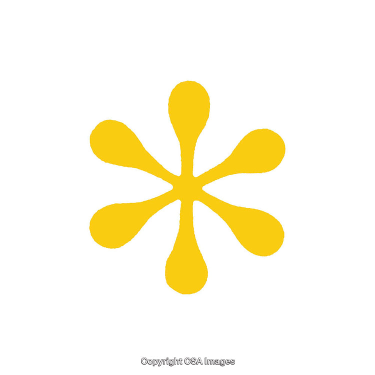 Yellow Flower Dingbat Symbol Isolated on White Background