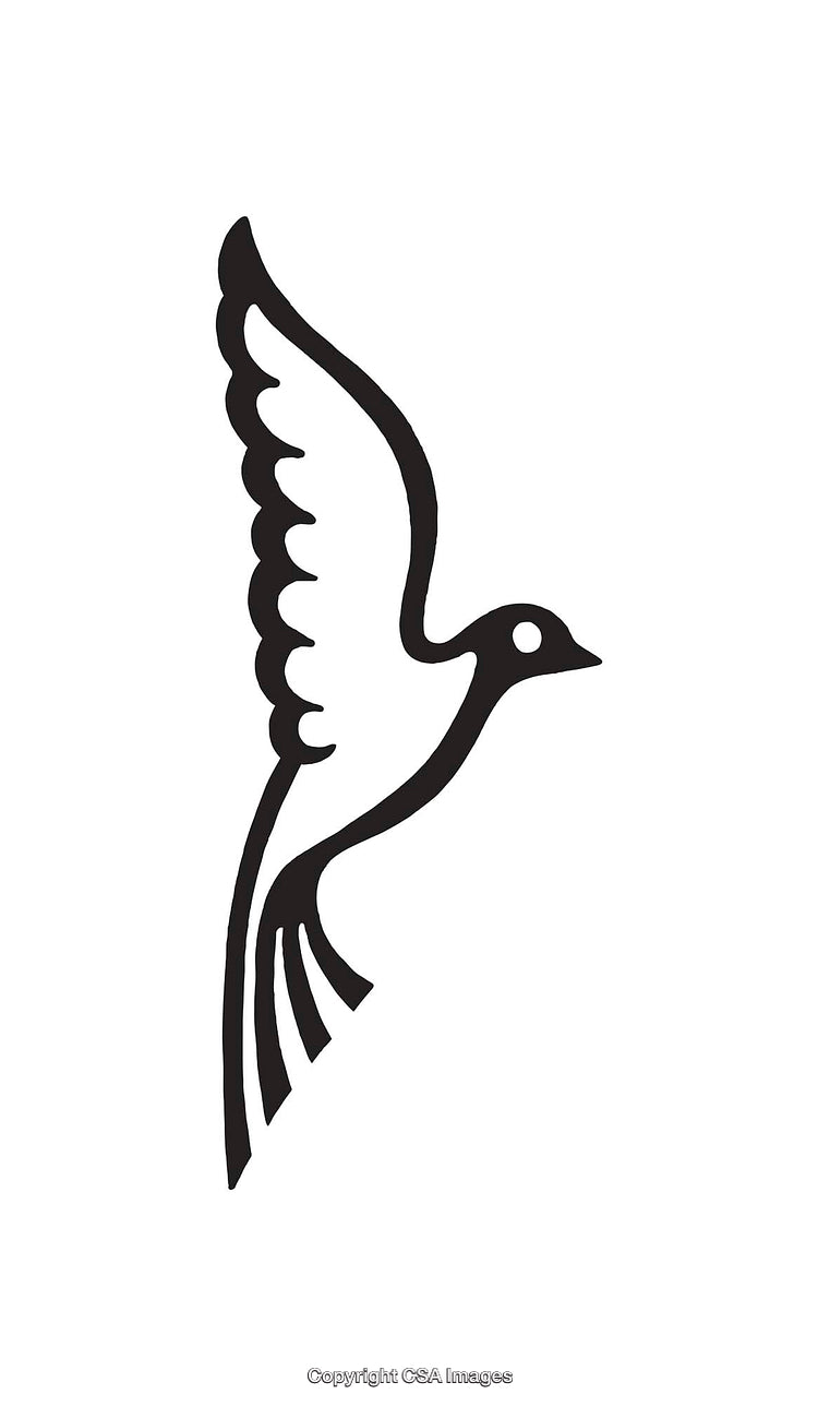 Minimalistic Black and White Line Art Illustration of a Bird in Flight