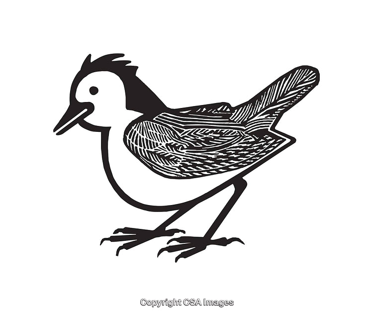 Black And White Line Art Illustration of a Small Bird