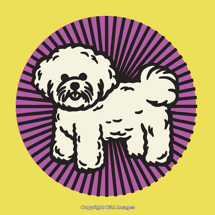 Pop Art Inspired Illustration of a White Dog with Vibrant Radiating Backdrop