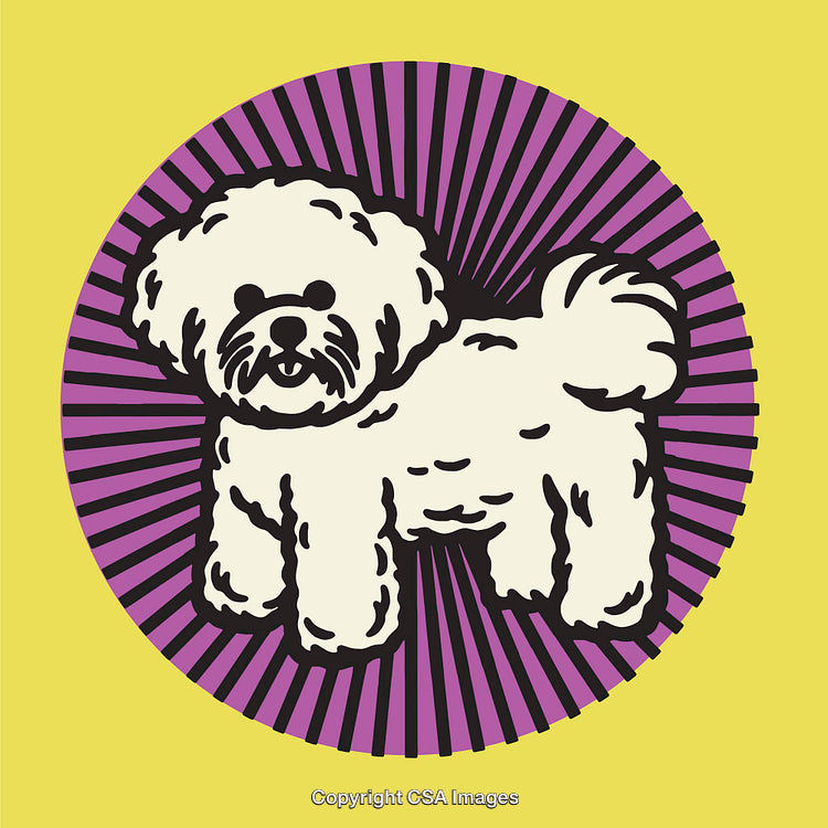 Pop Art Inspired Illustration of a White Dog with Vibrant Radiating Backdrop