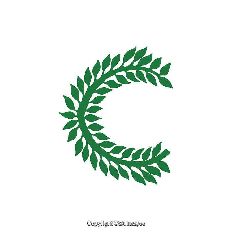 Green Leaf Decoration Forming the Shape of the Letter C on White