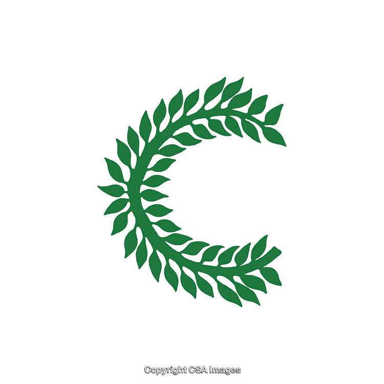 Green Leaf Decoration Forming the Shape of the Letter C on White