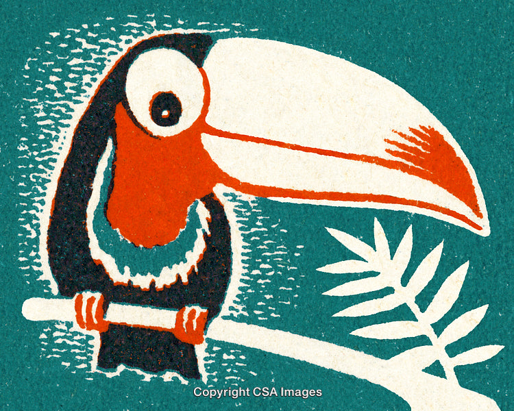 Illustrated Toucan with Bold Colors and Tropical Vibe on a Decorative Branch