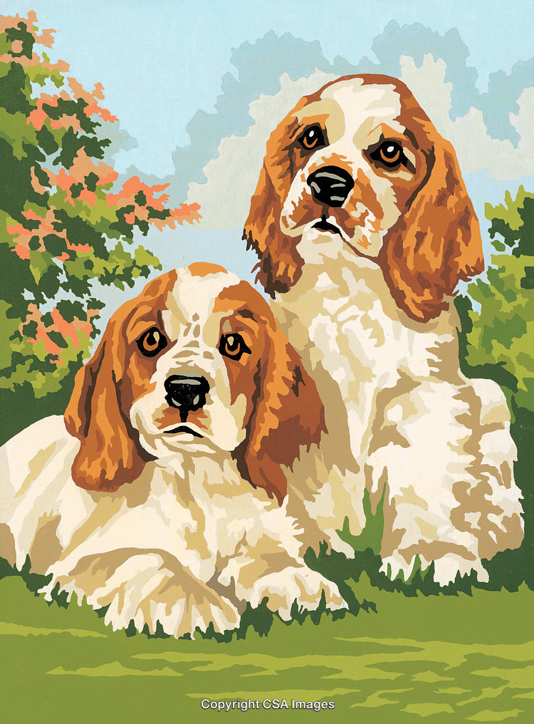 Two Adorable Spaniel Dogs Relaxing Outdoors in a Vibrant Garden Scene